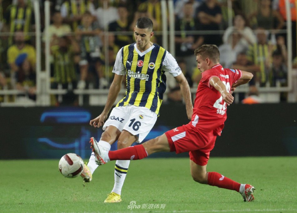 了球员的基 了球员的基